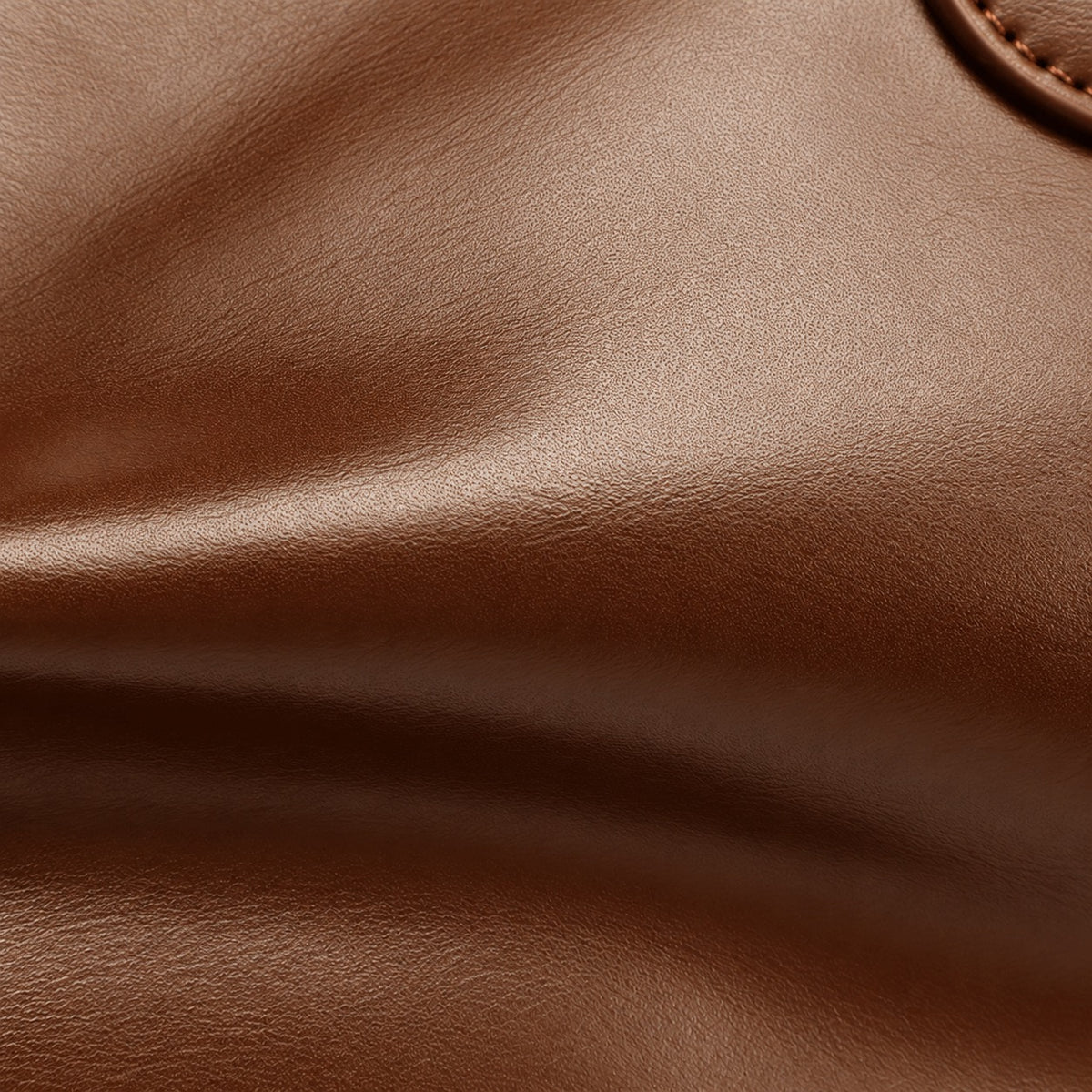 Gros plan sur le cuir de vachette Café du sac Irina